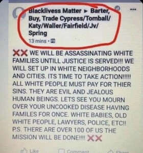 assassinating-whites-600