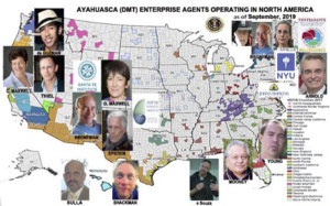 ayahuasca-enterprise-chart